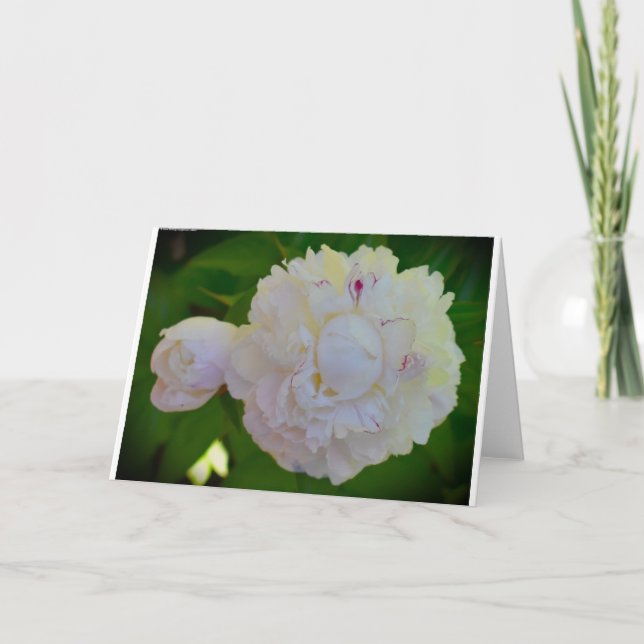Peony-kort Kort (Framsida)