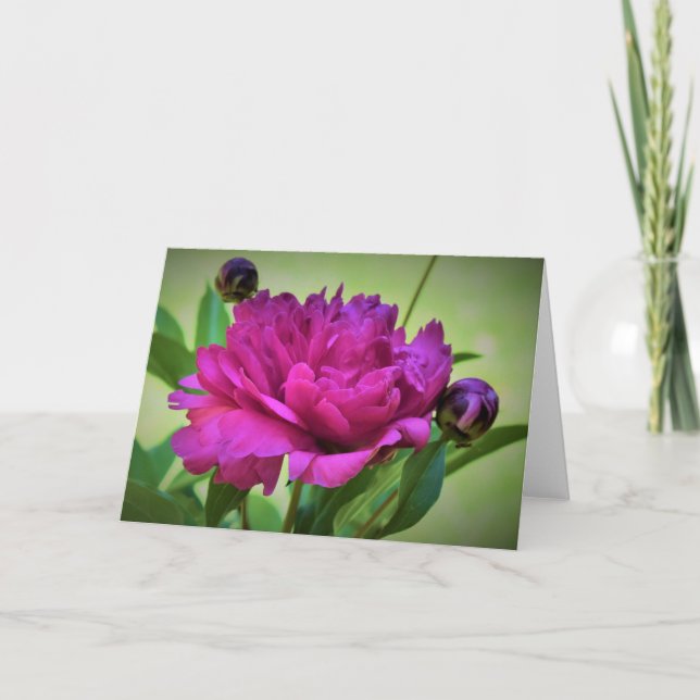Peony-kort Kort (Framsida)