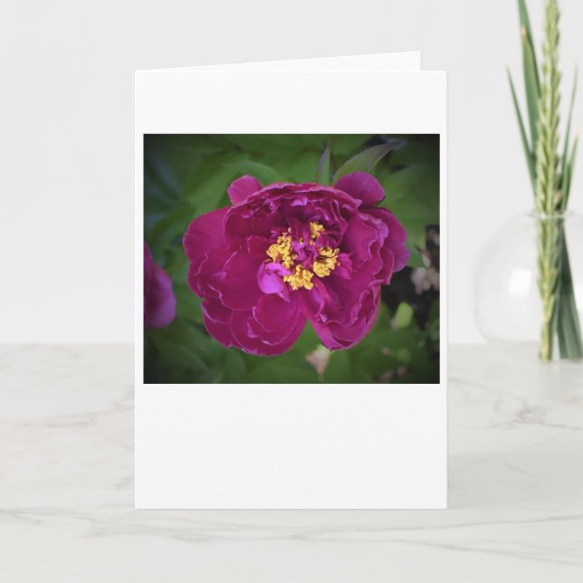 Peony-kort Kort (Framsida)