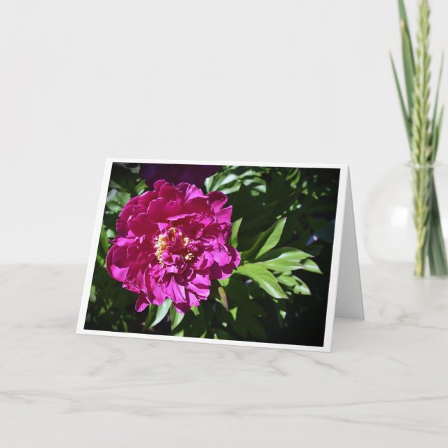 Peony-kort Kort (Framsida)