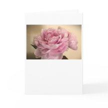 Peony-kort