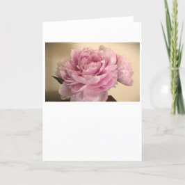 Peony-kort Kort