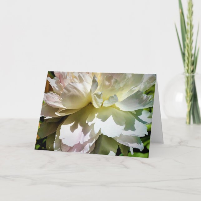 Peony-kort Kort (Framsida)