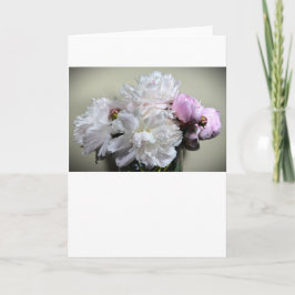 Peony-kort Kort