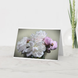 Peony-kort Kort