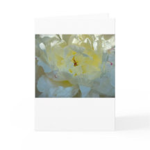 Peony-kort