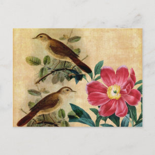 Peony med Nightingales Vykort