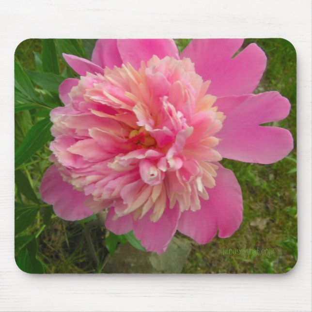 Peony Mousepad Musmatta (Framsidan)