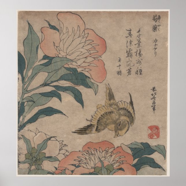 Peony och Canary av Katsushika Hokusai Poster (Framsidan)