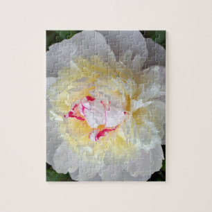 Peony Passion Pussel