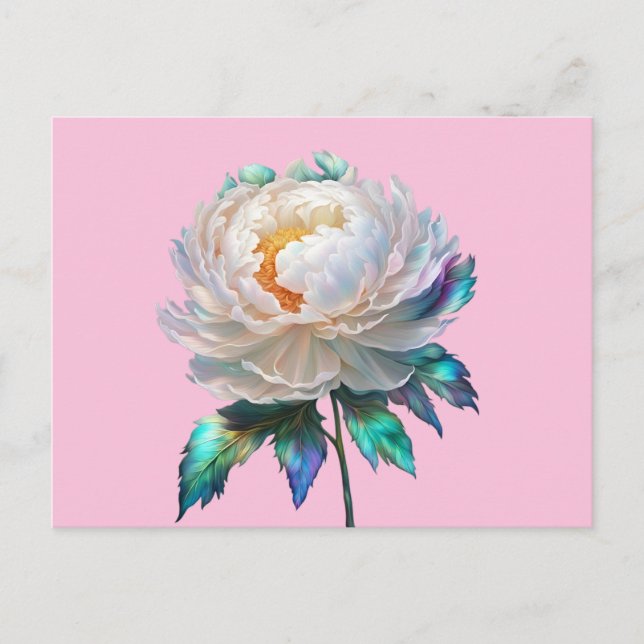 Peony Peace Vykort (Framsida)