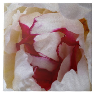 Peony petals kakelplatta