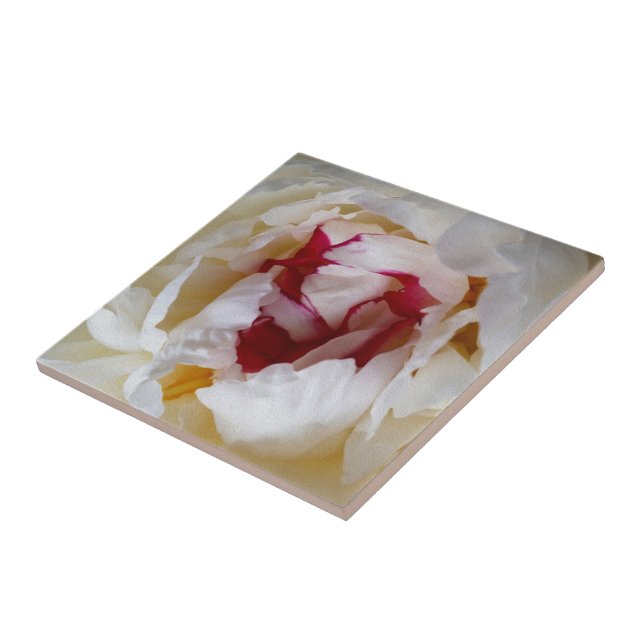 Peony petals kakelplatta (Sidan)