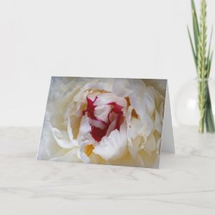 Peony petals kort