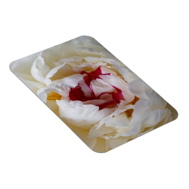 Peony petals magnet (Högersidan)