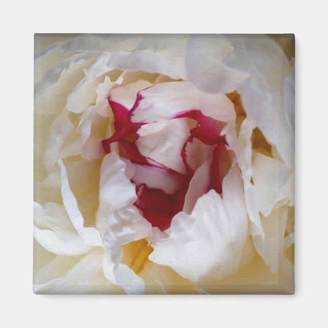 Peony petals magnet (Framsidan)