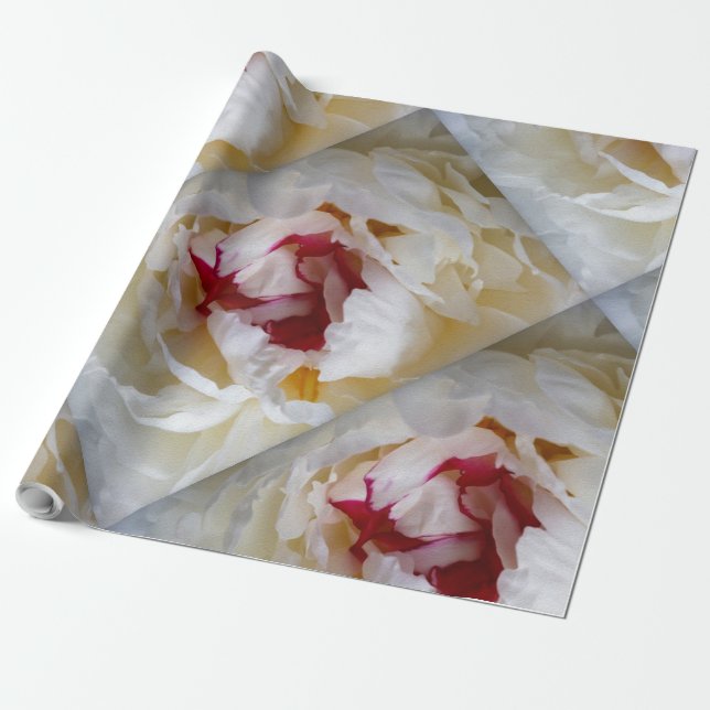 Peony petals presentpapper (Utrullad)