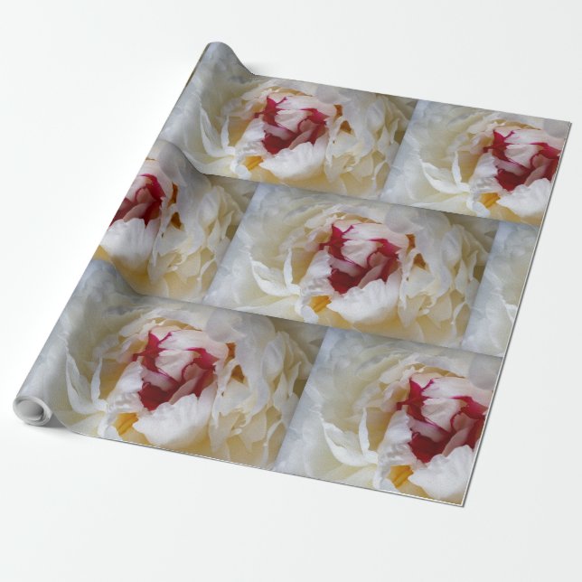 Peony petals presentpapper (Utrullad)