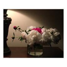 Peony
