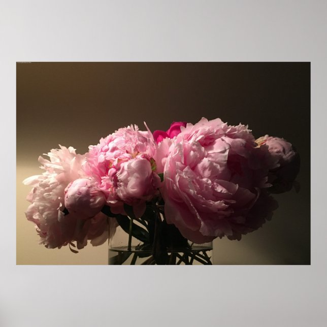 Peony Poster (Framsidan)