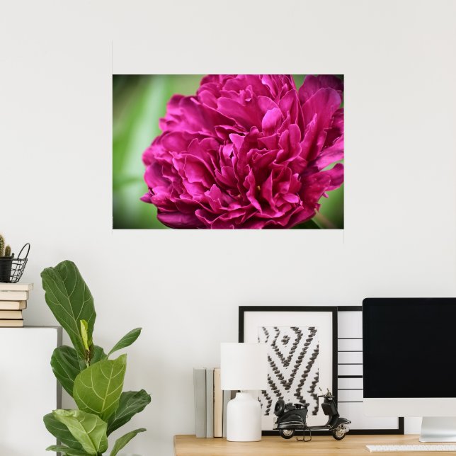 Peony Poster (Hemmakontoret)