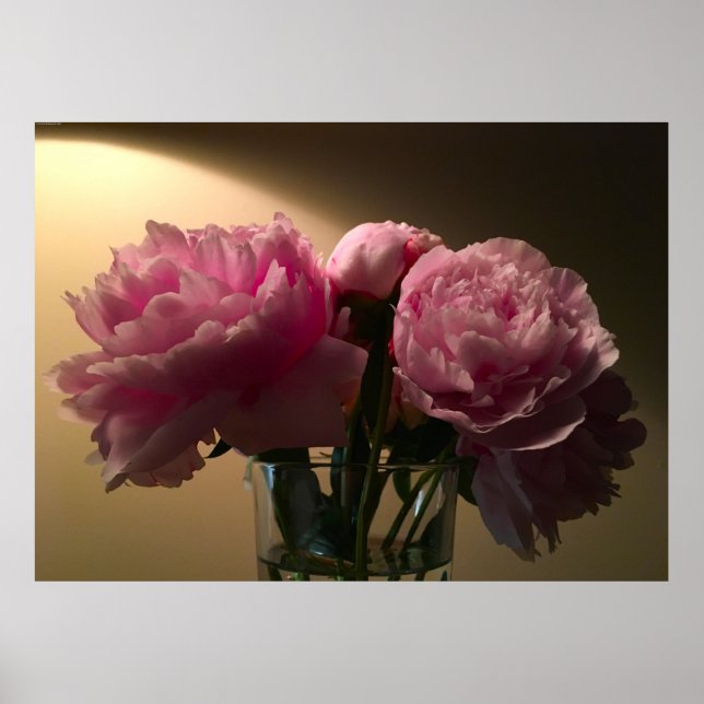 Peony Poster (Framsidan)