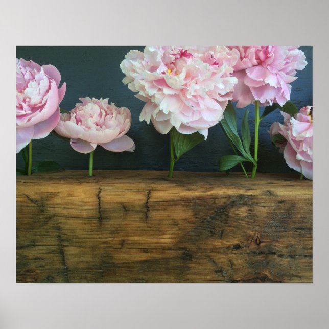 Peony poster (Framsidan)