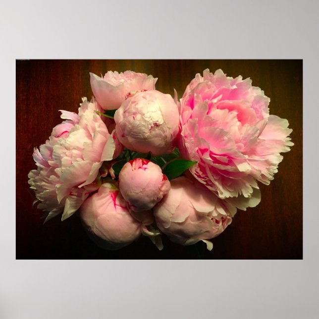 Peony Poster (Framsidan)