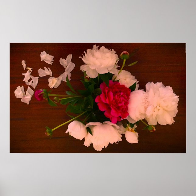 Peony Poster (Framsidan)