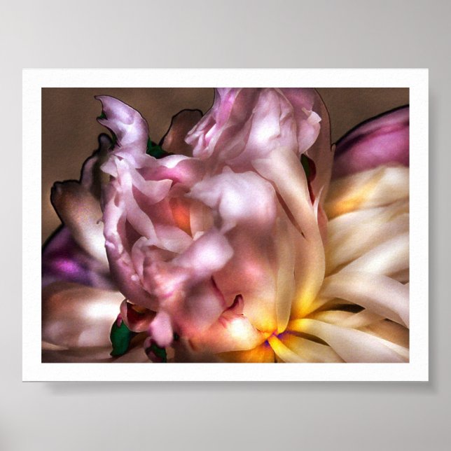 Peony Poster (Framsidan)