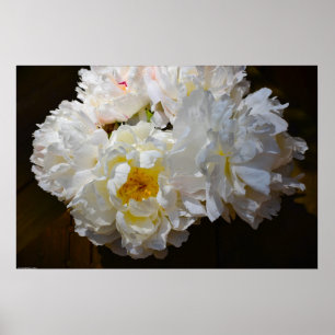 Peony Poster