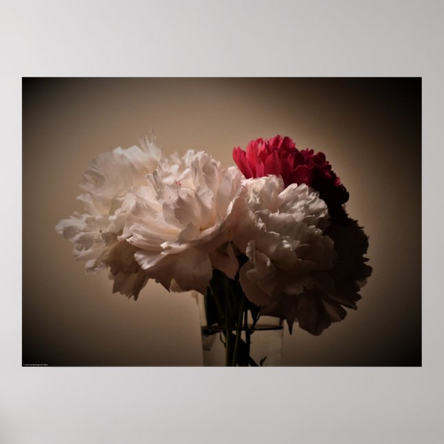 Peony Poster (Framsidan)