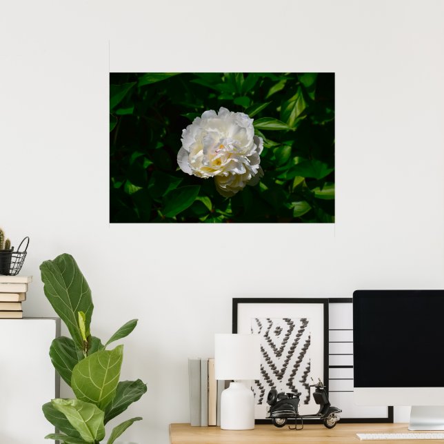 Peony Poster (Hemmakontoret)