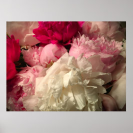Peony Poster