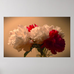 Peony Poster