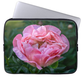 Peony, Rosa Blomsterfotografi Laptop Fodral