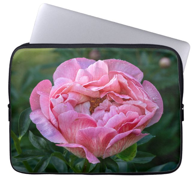 Peony, Rosa Blomsterfotografi Laptop Fodral (Framsidan)