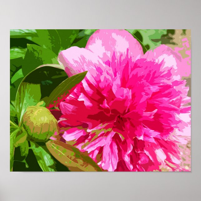 Peony Rosa Flower Poster (Framsidan)