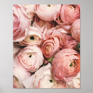 Peony, tryckning, rosa blomsterfotografi, poster