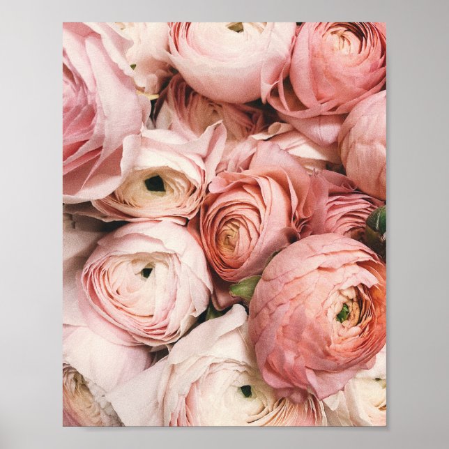 Peony,  tryckning, rosa blomsterfotografi, poster (Framsidan)