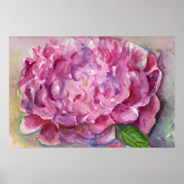 Peony Watercolor Poster (Framsidan)