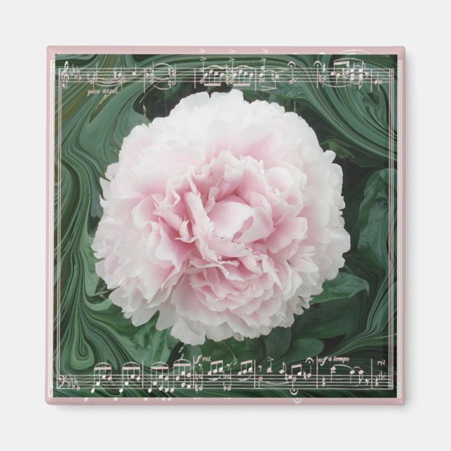 PeonyMusicMagnet Magnet (Framsidan)