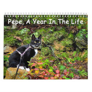 Pepe, ett år i livskalendern kalender