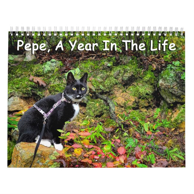 Pepe, ett år i livskalendern kalender (Omslag)