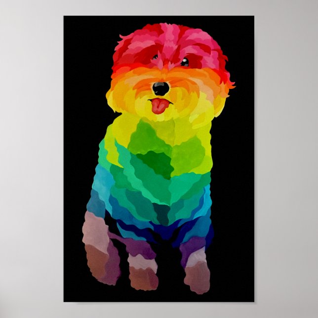 Pepita Rainbow Poster (Framsidan)