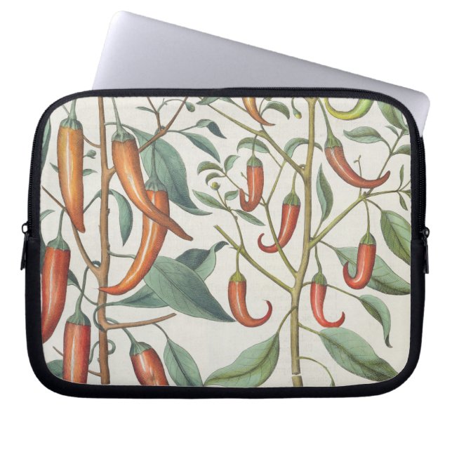 Peppar: longum för 1.Piper Indicum maximum; Laptop Fodral (Framsidan)
