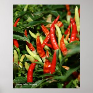 Peppar Poster