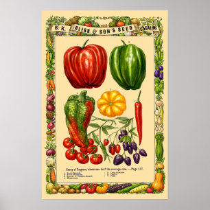 Pepparsorter Retro Viktoriansk Tid Botanisk Konst Poster