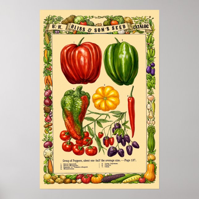 Pepparsorter Retro Viktoriansk Tid Botanisk Konst Poster (Framsidan)