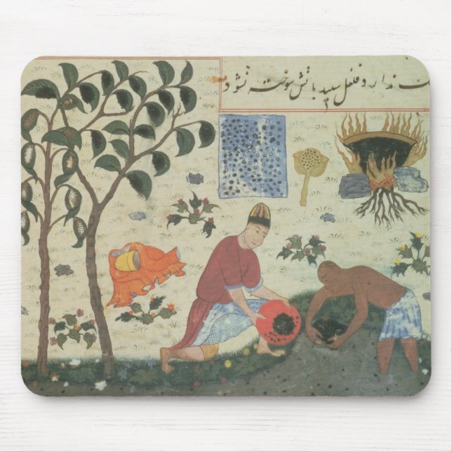 Pepparträd för Ms Pers 332 och förbereda sigpeppar Musmatta (Framsidan)